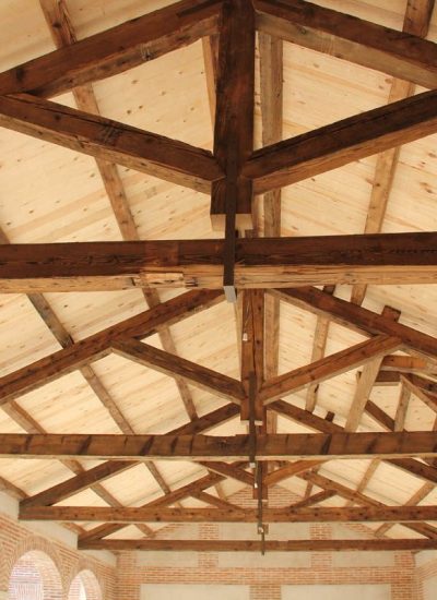 imgi_12_IMG_4183-full-thumbx800